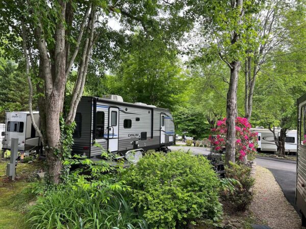 Deluxe Hillside site's backyard